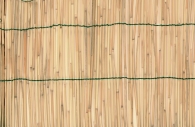 Zástěna bambus 2x5m VERDEMAX 6703